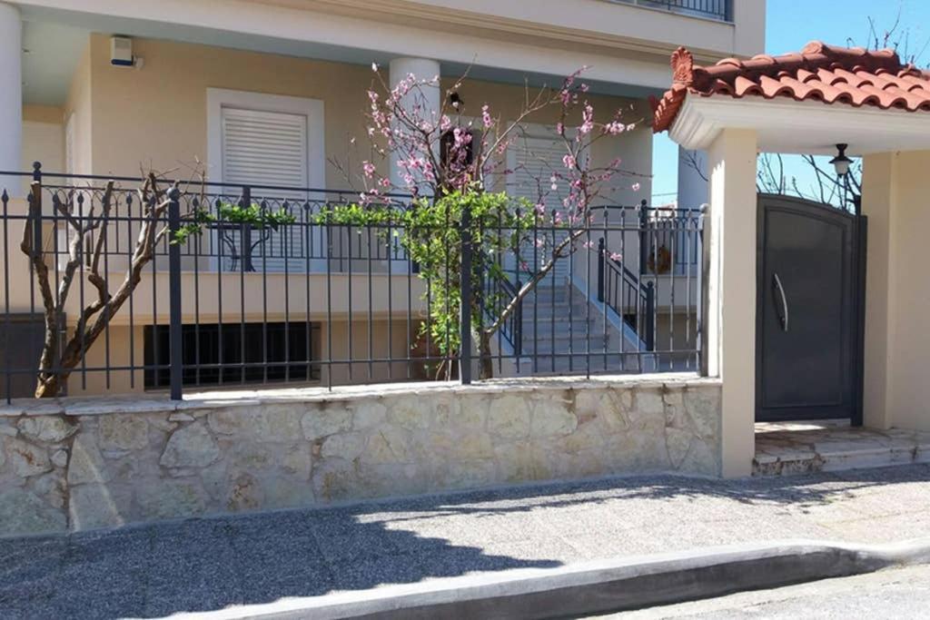New, Bright, Cozy, Autonomous Apartment With Private Entrance And Garden, 42 M2, 5Min To The Beach And City Center Kalamata Luaran gambar